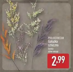 ALDI Gałązka sztuczna Projektdecor oferta