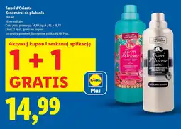 Lidl Tesori d'Oriente Koncentrat do płukania oferta