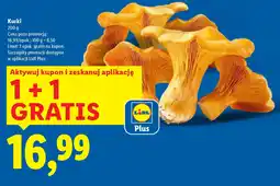 Lidl Kurki oferta