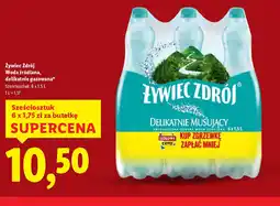 Lidl Zywiec Zdrój oferta