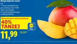 Lidl Mango dojrzałe oferta