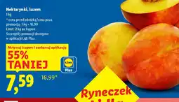 Lidl Nektarynki oferta