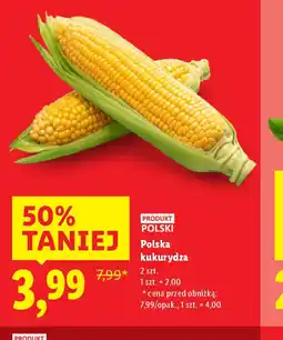Lidl Polska kukurydza oferta
