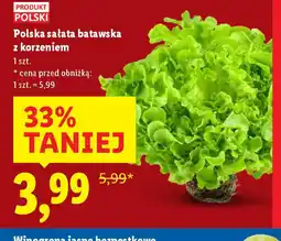 Lidl Polska sałata batawska z korzeniem oferta