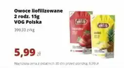 Torimpex Owoce liofilizowane VOG Polska oferta