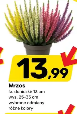 Bricomarche Wrzos oferta