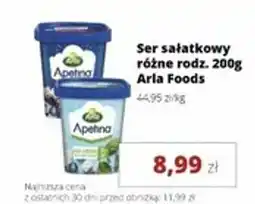 Torimpex Ser sałatkowy Apetina Arla Foods oferta