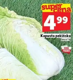 Topaz Kapusta pekińska Na dobre oferta