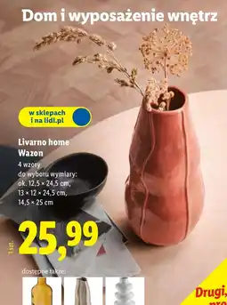 Lidl Wazon Livarno oferta