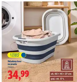 Lidl Kosz składany Ok oferta