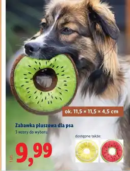 Lidl Zabawka dla psa Ok oferta