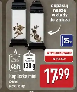 ALDI Wkład parafinowy oferta