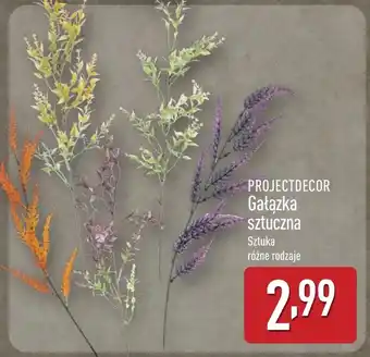 ALDI Sztuczna gałązka oferta