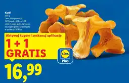 Lidl Kurki Plus-Plus oferta