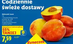 Lidl Nektarynki Plus-Plus oferta