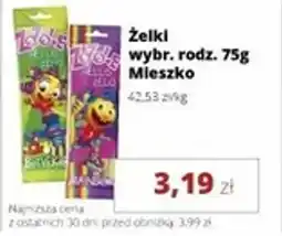 Torimpex Żelki Mieszko oferta