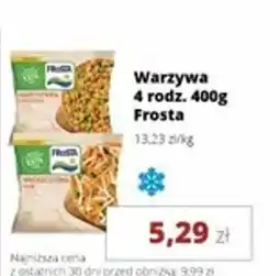 Torimpex Warzywa Frosta oferta