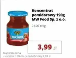 Torimpex Koncentrat pomidorowy MW Food Sp. z o.o. oferta