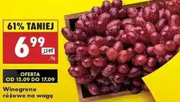 Biedronka Winogrona różowe oferta