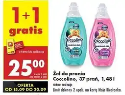 Biedronka Żel do prania ultra care Coccolino oferta