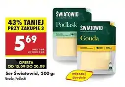 Biedronka Ser gouda Światowid oferta