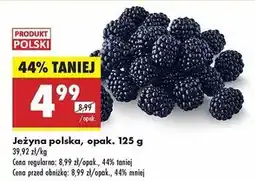 Biedronka Jeżyny oferta