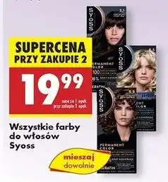Biedronka Farba do włosów 8.5 Syoss Permanent oferta