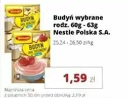 Torimpex Budyń Nestle Polska S.A. oferta