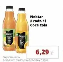 Torimpex Nektar Cappy Coca Cola oferta