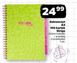 Netto Kołozeszyt A4 100 kartek Strigo oferta