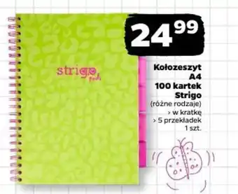 Netto Kołozeszyt A4 100 kartek Strigo oferta