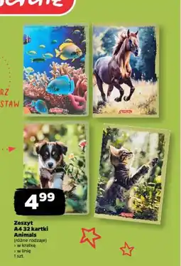 Netto Zeszyt A4 32 kartki Animals herlitz oferta