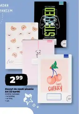 Netto Zeszyt do nauki pisania A4 32 kartki beniamin oferta
