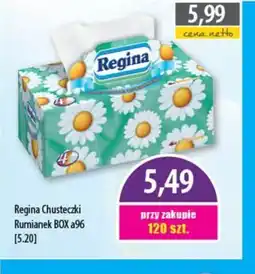 DUO-TES Chusteczki Regina Rumianek oferta