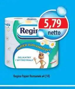 DUO-TES Papier toaletowy Regina Rumiankowy oferta
