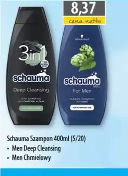 DUO-TES Schauma Szampon oferta
