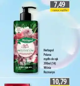 DUO-TES Mydło do rąk Herbapol Polana oferta