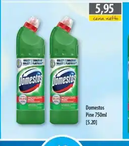 DUO-TES Domestos Pine oferta