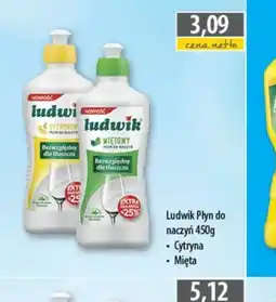 DUO-TES Ludwik Płyn do naczyń oferta