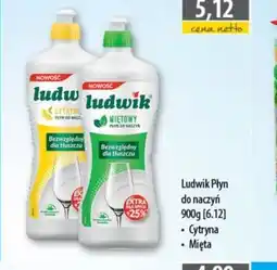 DUO-TES Ludwik Płyn do naczyń oferta