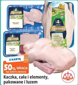 E.Leclerc Kaczka zagrodowa Drosed oferta