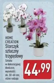 ALDI Storczyk sztuczny dwupedowy Home Creation oferta