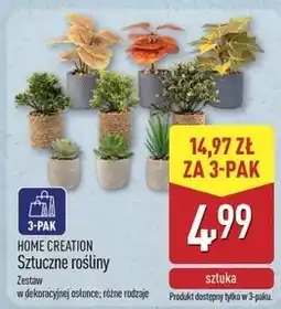 ALDI Rośliny sztuczne Home Creation oferta