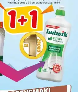 Hitpol Płyn do naczyń Ludwik oferta