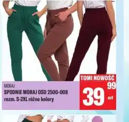 TomiMarkt Spodnie Moraj OSD 2500-008 oferta