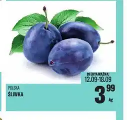 TomiMarkt Sliwka oferta