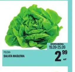 TomiMarkt Sałata masłowa oferta
