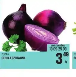 TomiMarkt Cebula czerwona oferta