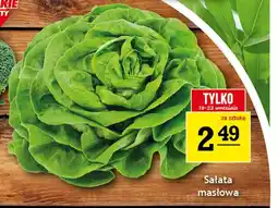 Gram Market Sałata masłowa oferta