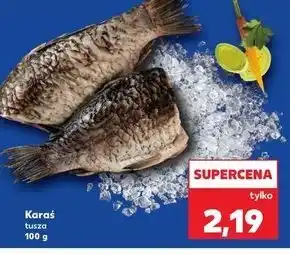 Kaufland Karaś tusza oferta